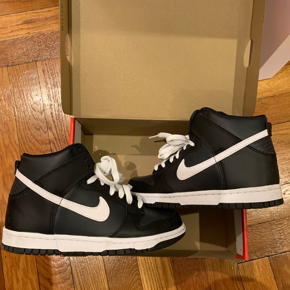 Nike Dunk Hi